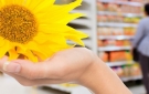 Bir Çiçekle Her Şey Değişebilir: Mağaza İçi Hediyenin Duygusal Uyarılma ve Alışverişçi Davranışlarına Etkisi